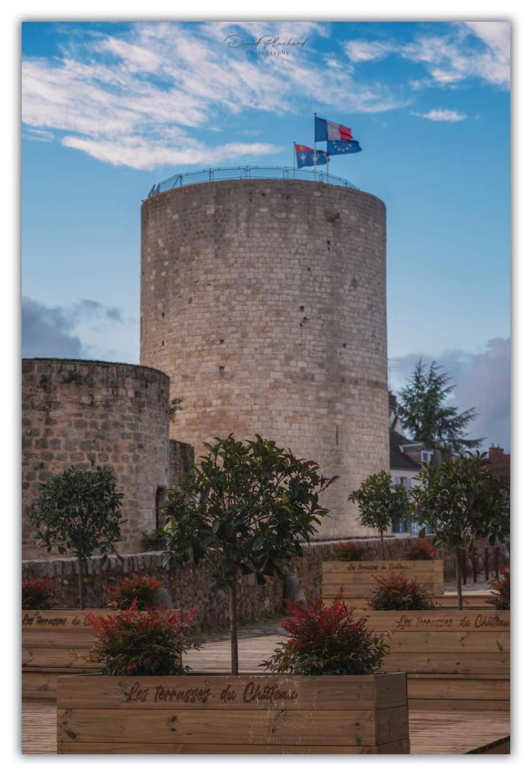 Chambre D'Hote Du Chateau Dourdan Bagian luar foto