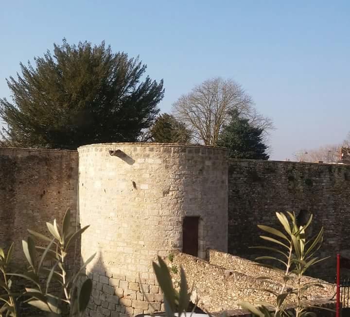 Chambre D'Hote Du Chateau Dourdan Bagian luar foto